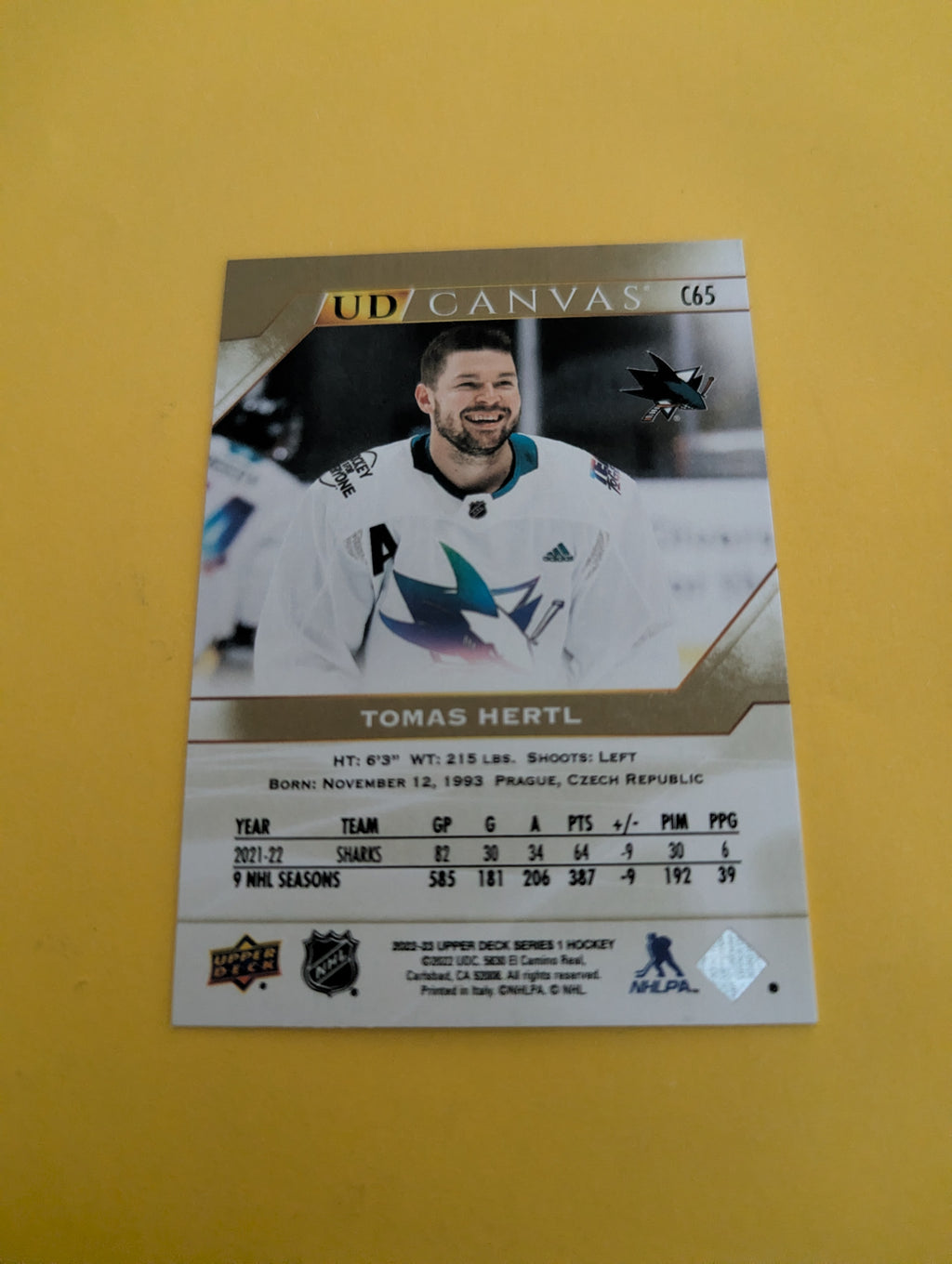 Tomas Hertl 20-21 Upper Deck UD Canvas Card