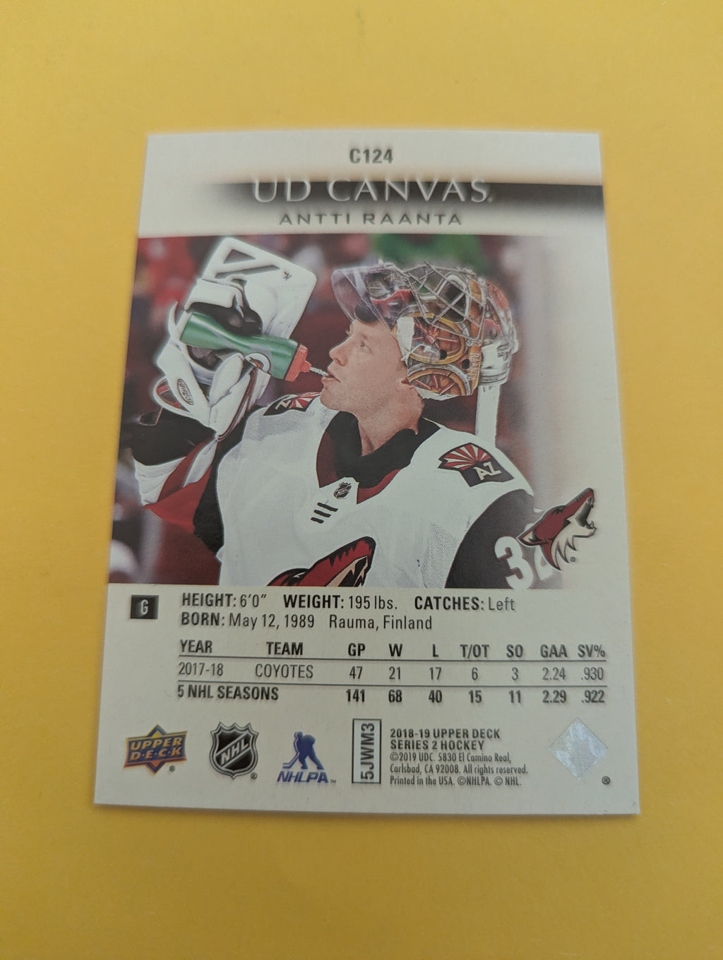 Antti Raanta 18-19 Upper Deck UD Canvas Card