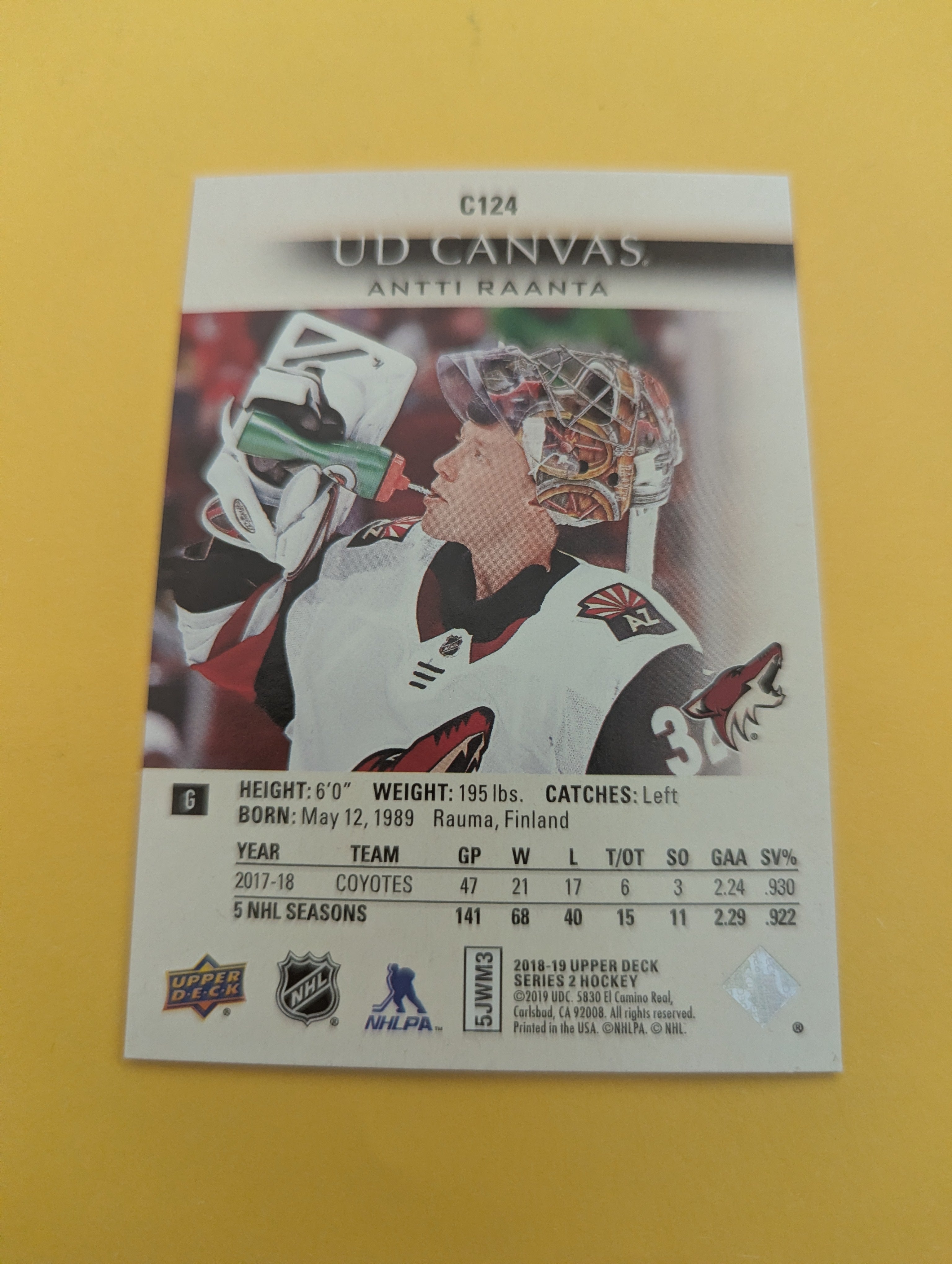 Antti Raanta 18-19 Upper Deck UD Canvas Card