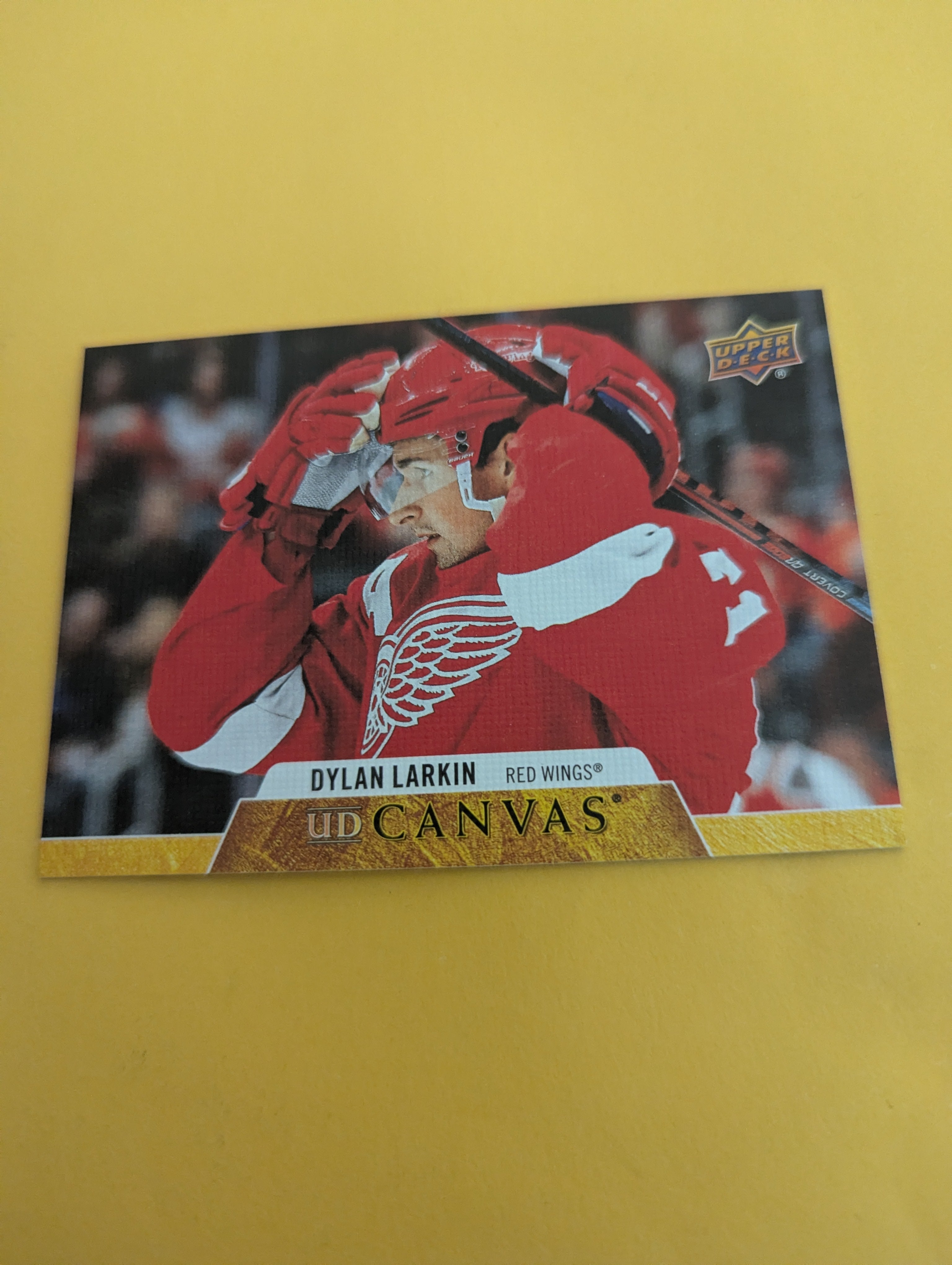 Dylan Larkin 20-21 Upper Deck UD Canvas Card