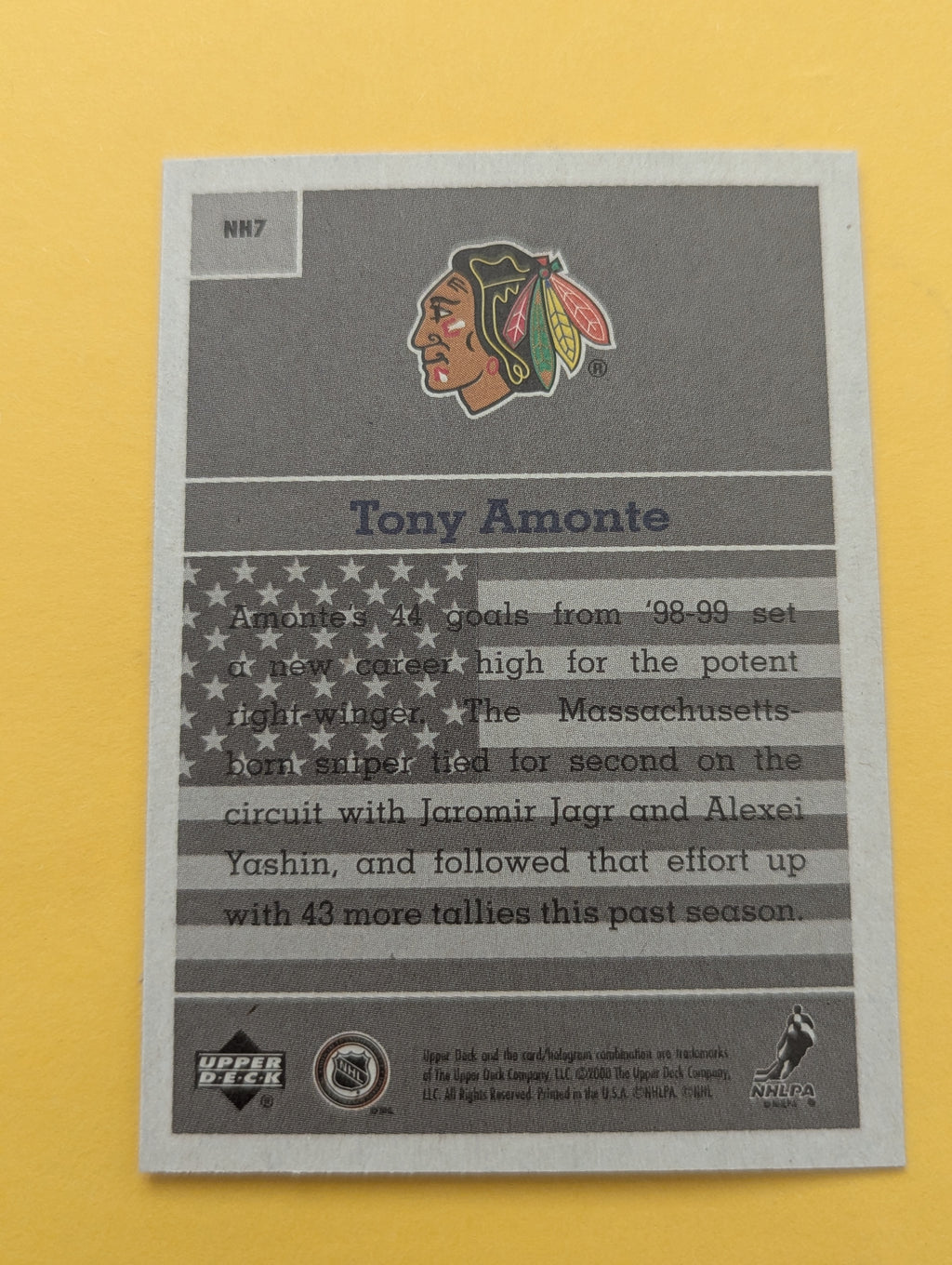 Tony Amonte 00-01 Upper Deck Vintage National Heroes Card