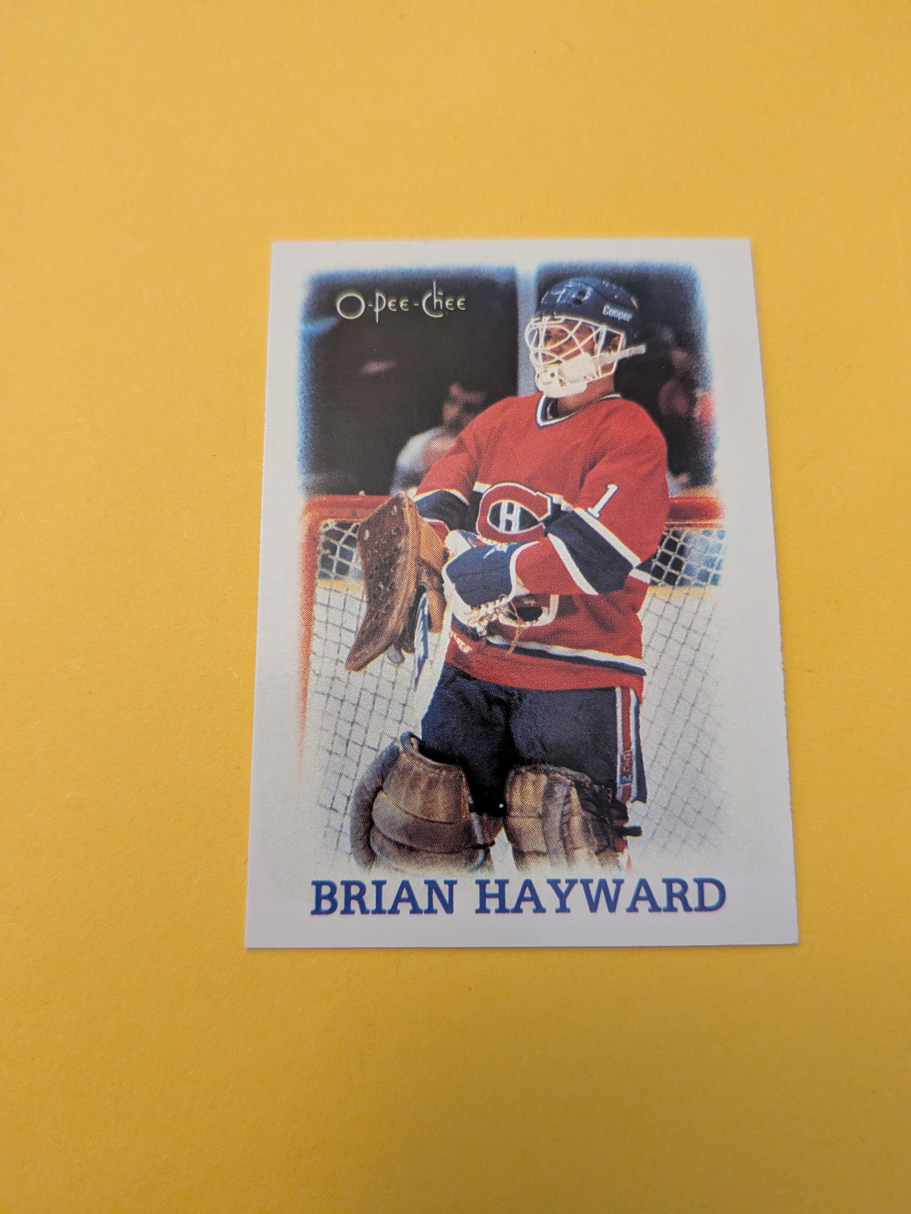 Brian Hayward 88-89 OPC Mini Card