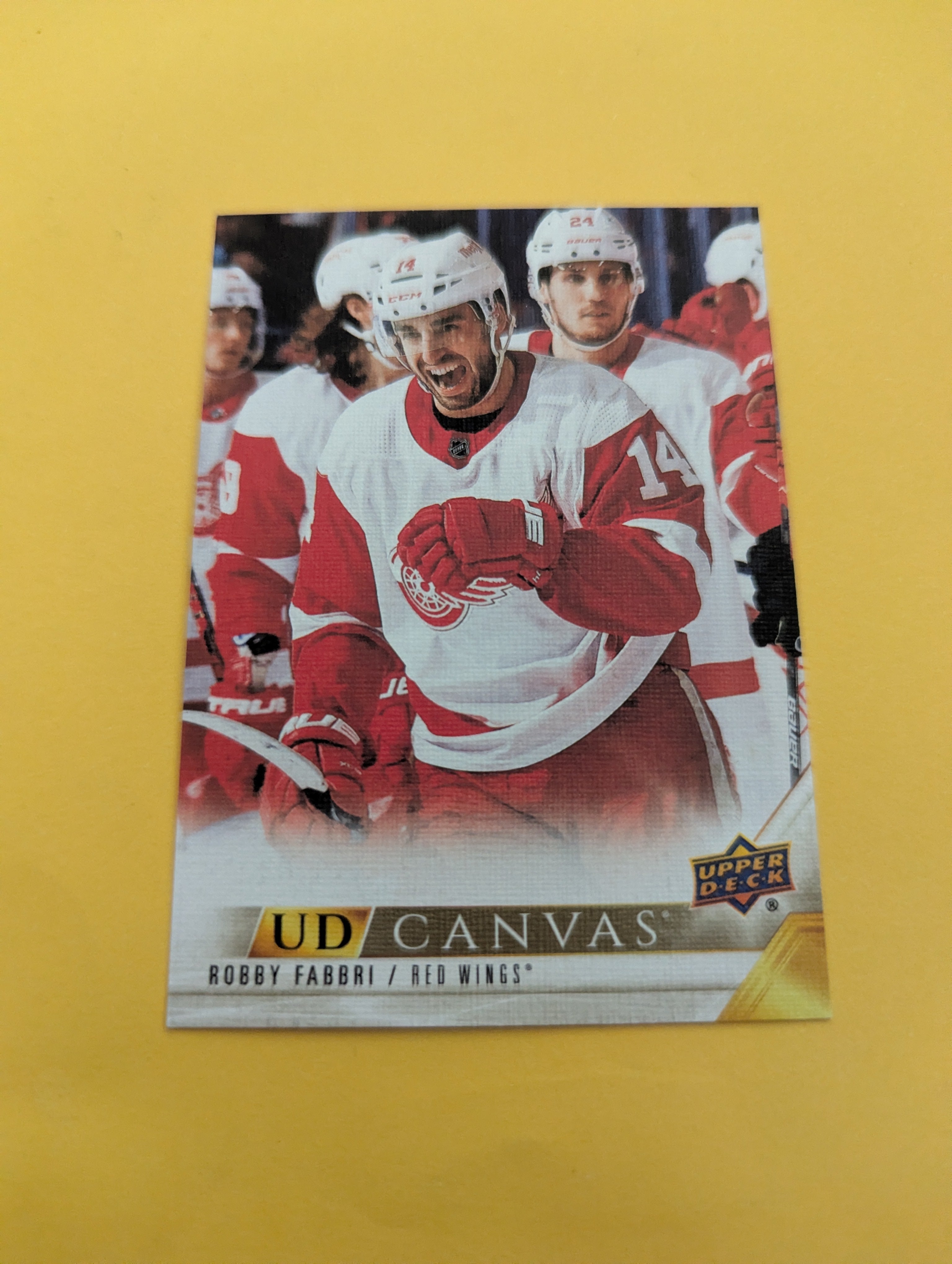 Robby Fabbri 22-23 Upper Deck UD Canvas Card