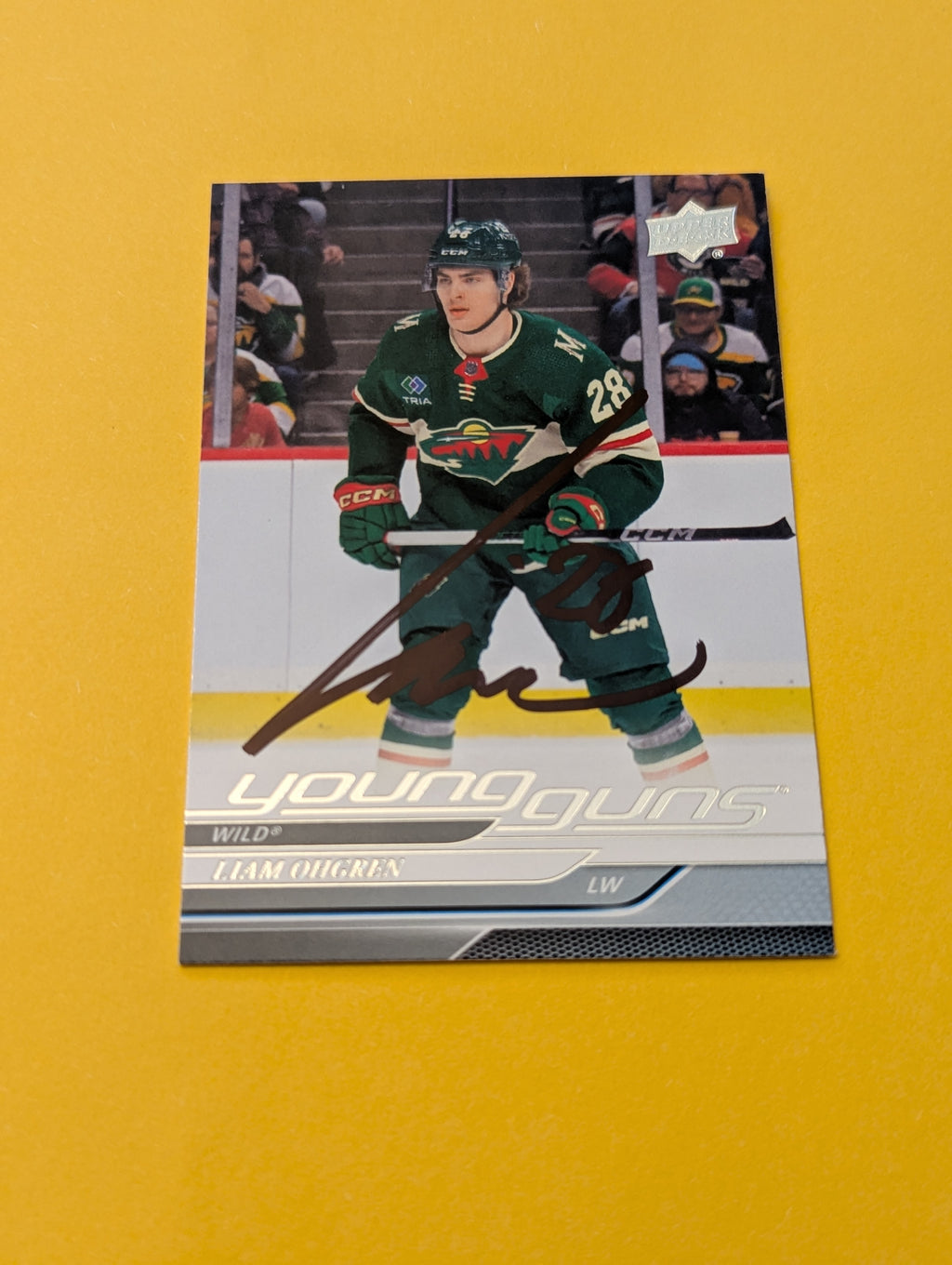 Liam Ohgren Signed Minnesota Wild Young Guns Rookie Card Vancouver Canucks