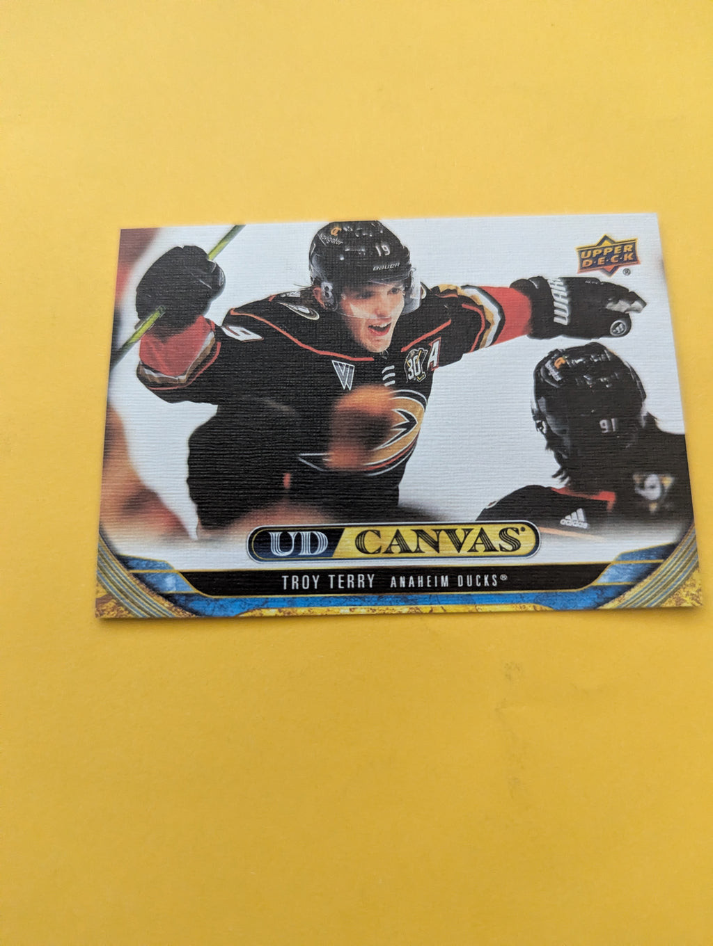 Troy Terry 24-25 Upper Deck UD Canvas Card