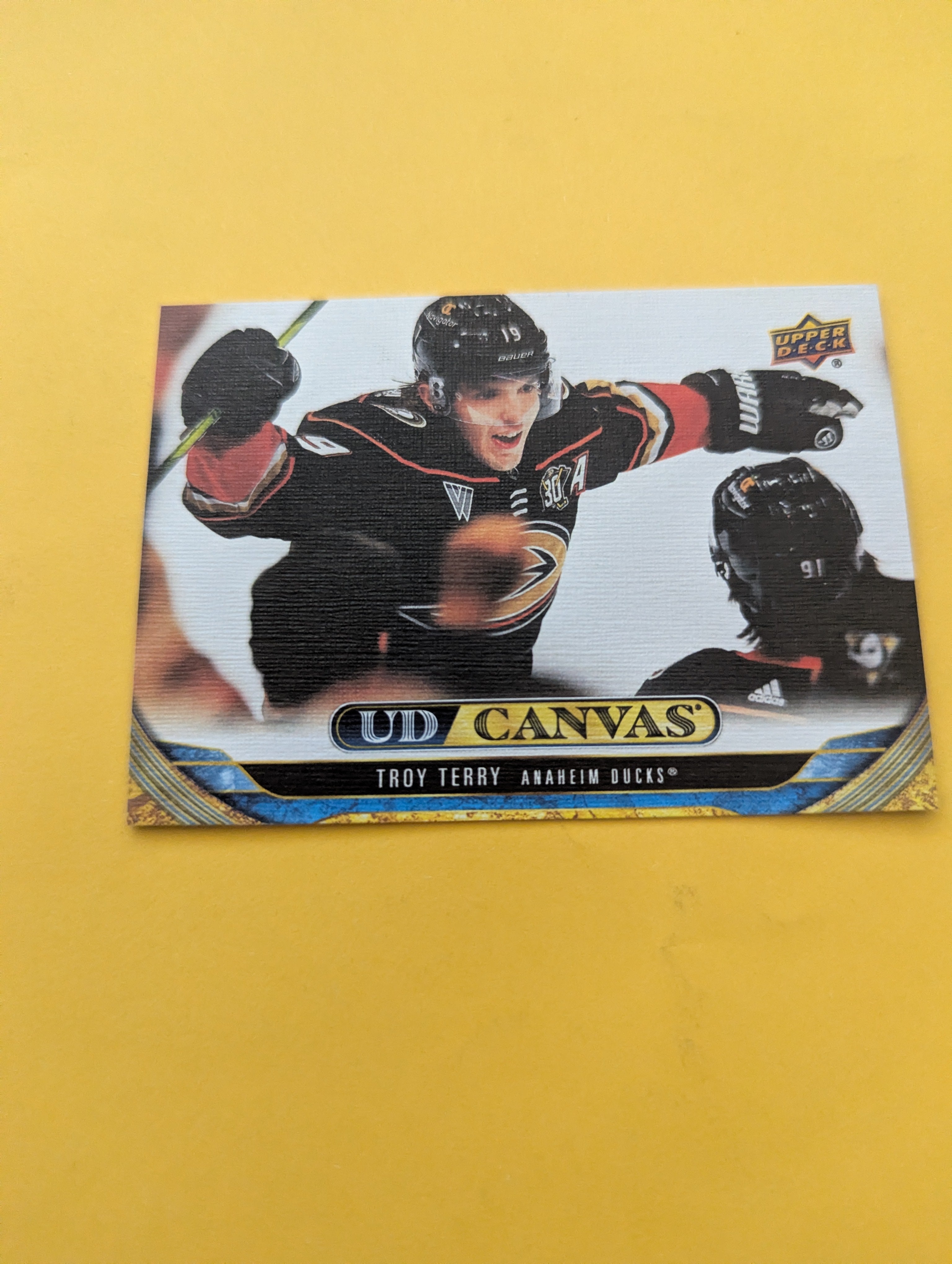 Troy Terry 24-25 Upper Deck UD Canvas Card