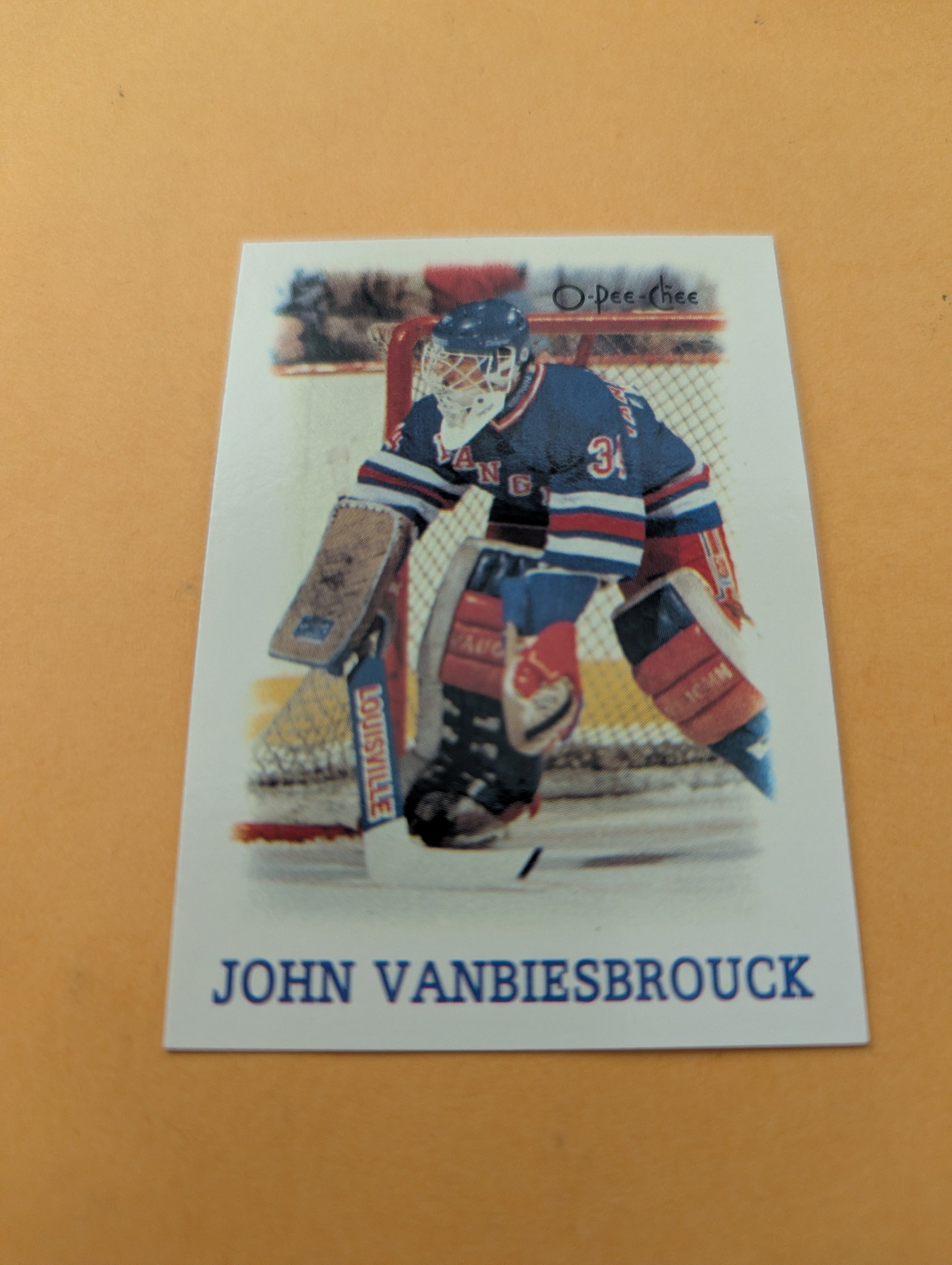 John Vanbiesbrouck 88-89 OPC Mini Card