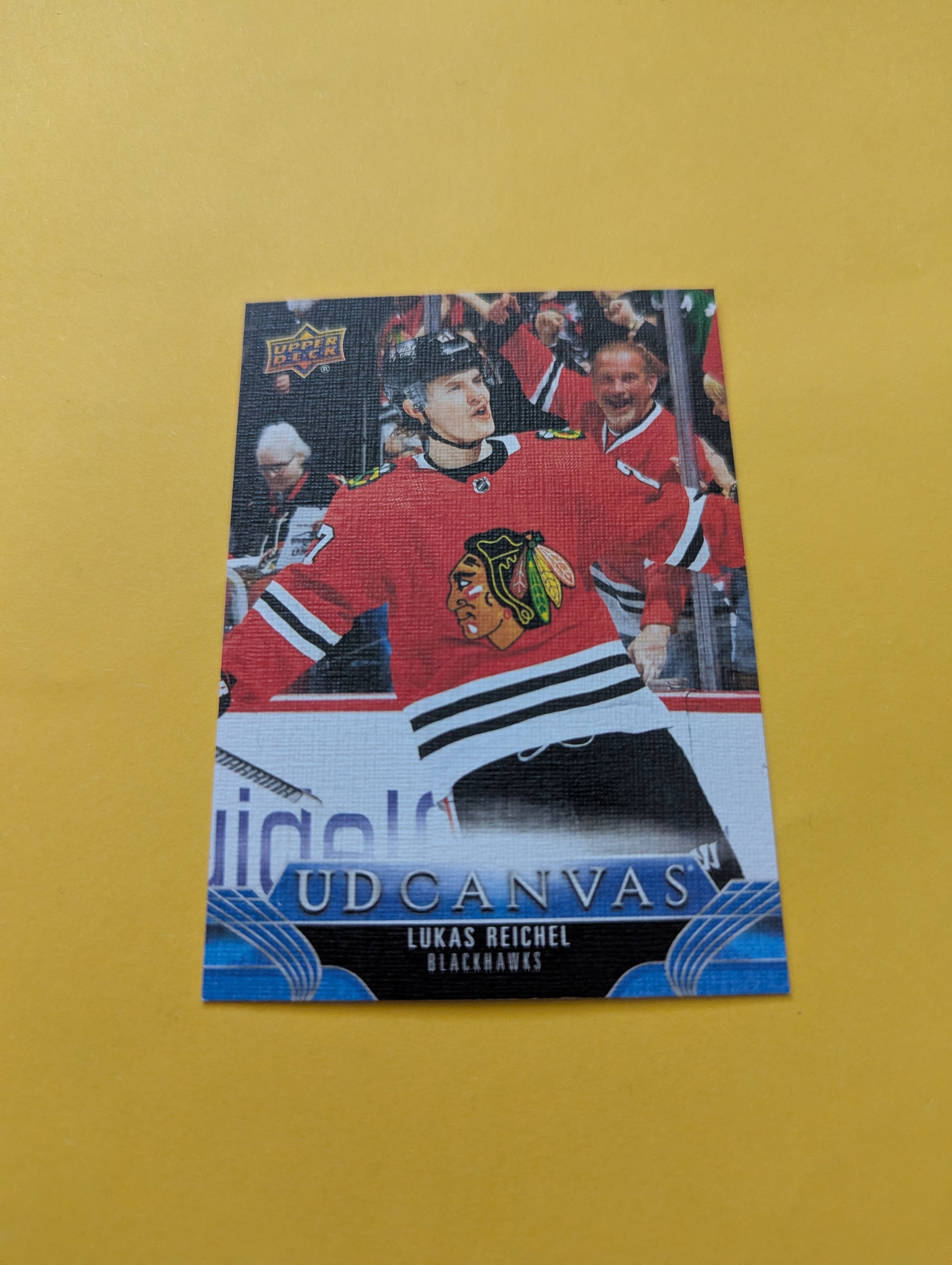 Lukas Reichel 23-24 Upper Deck UD Canvas Card