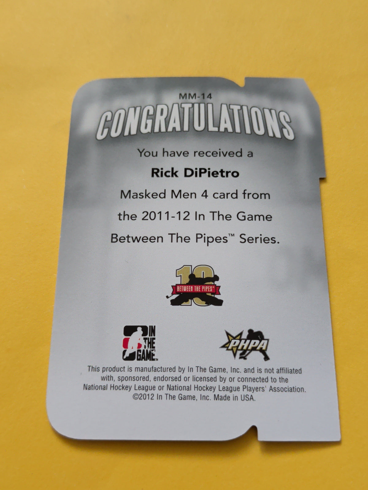 Rick DiPietro 11-12 ITG Between The Pipes Masked Men Card