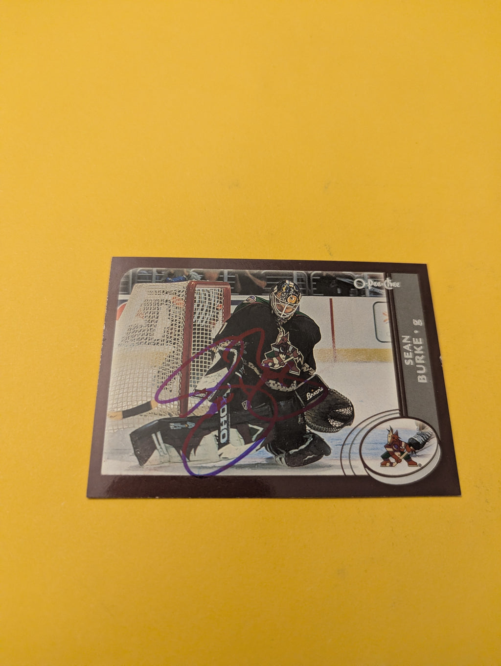 Sean Burke Signed Arizona Coyotes Card
