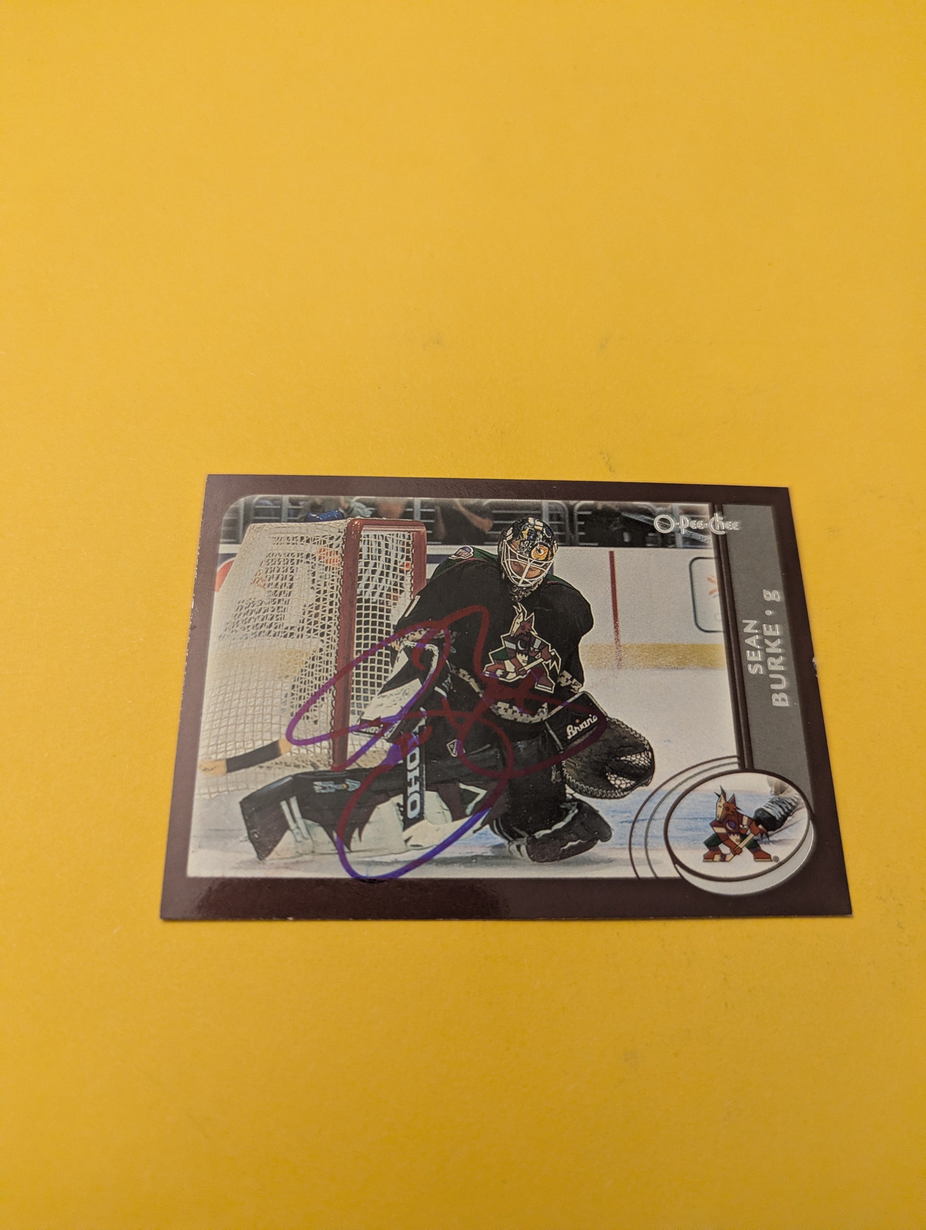 Sean Burke Signed Arizona Coyotes Card
