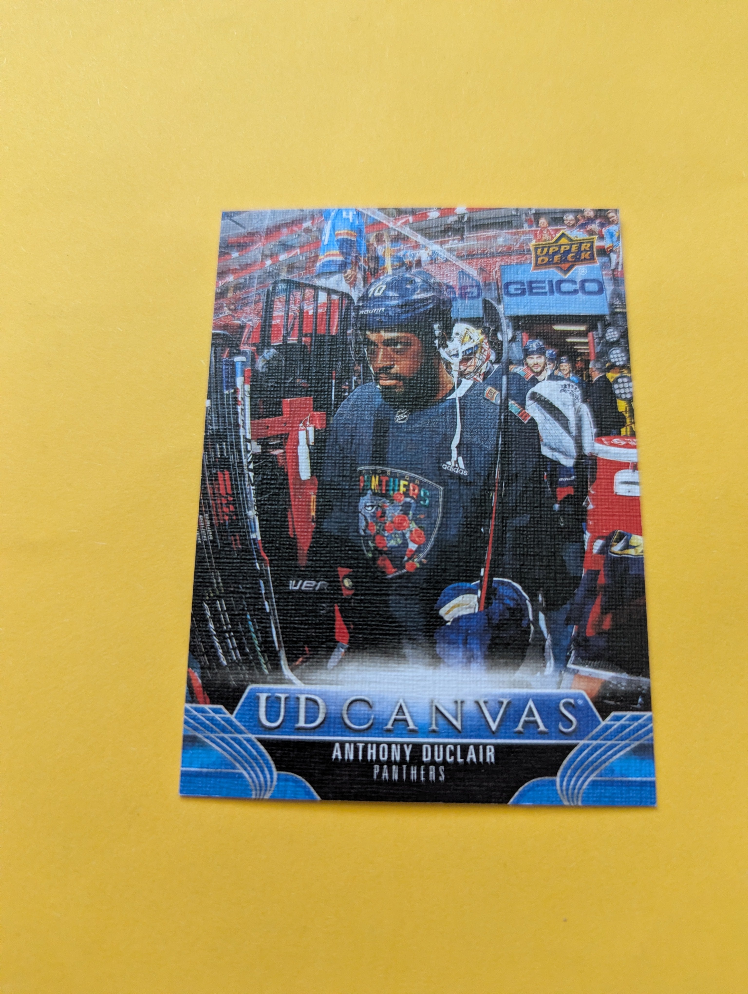 Anthony Duclair 23-24 Upper Deck UD Canvas Card