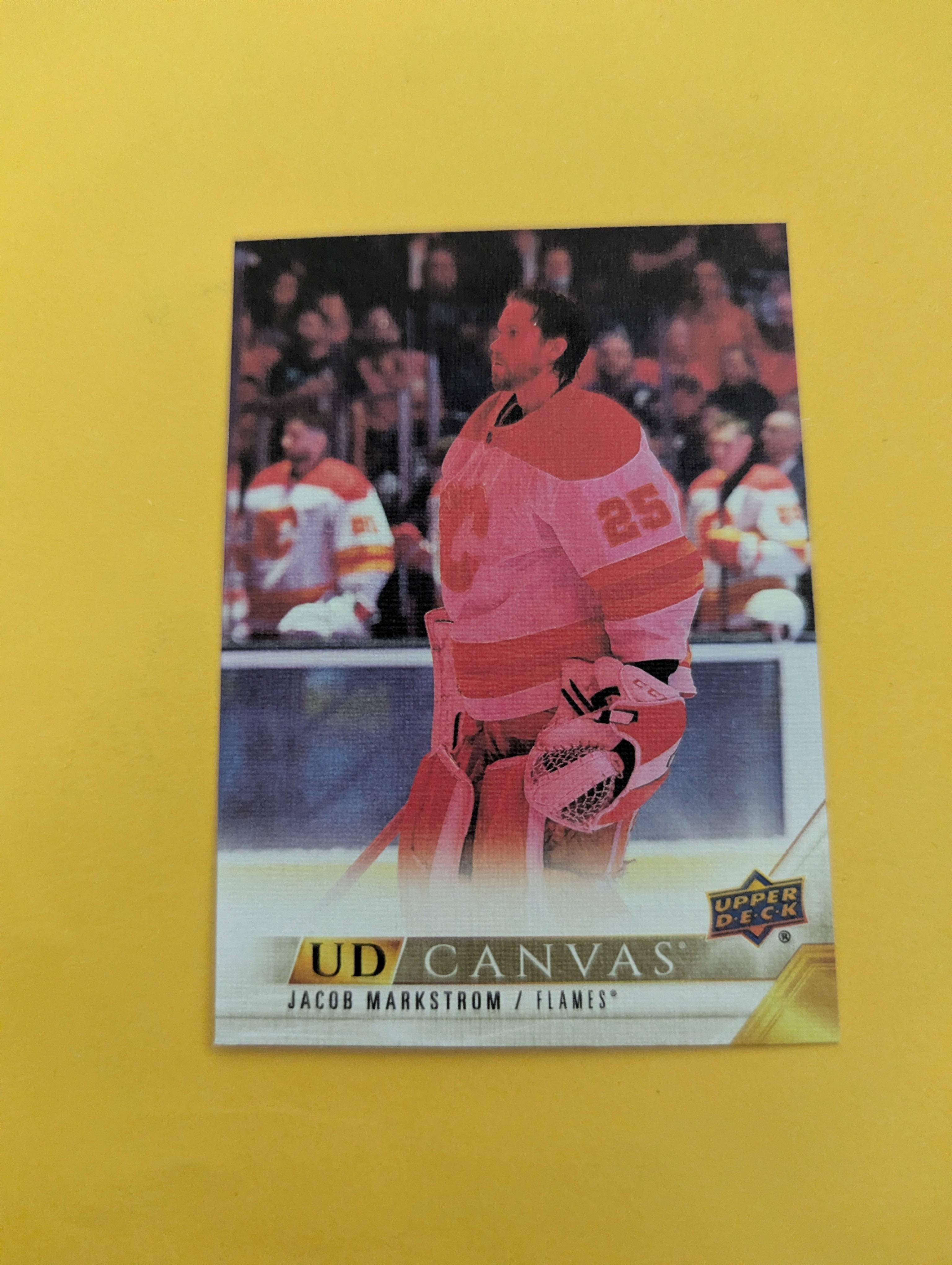 Jacob Markstrom 22-23 Upper Deck UD Canvas Card