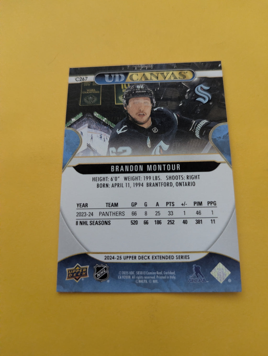 Brandon Montour 24-25 Upper Deck UD Canvas Card