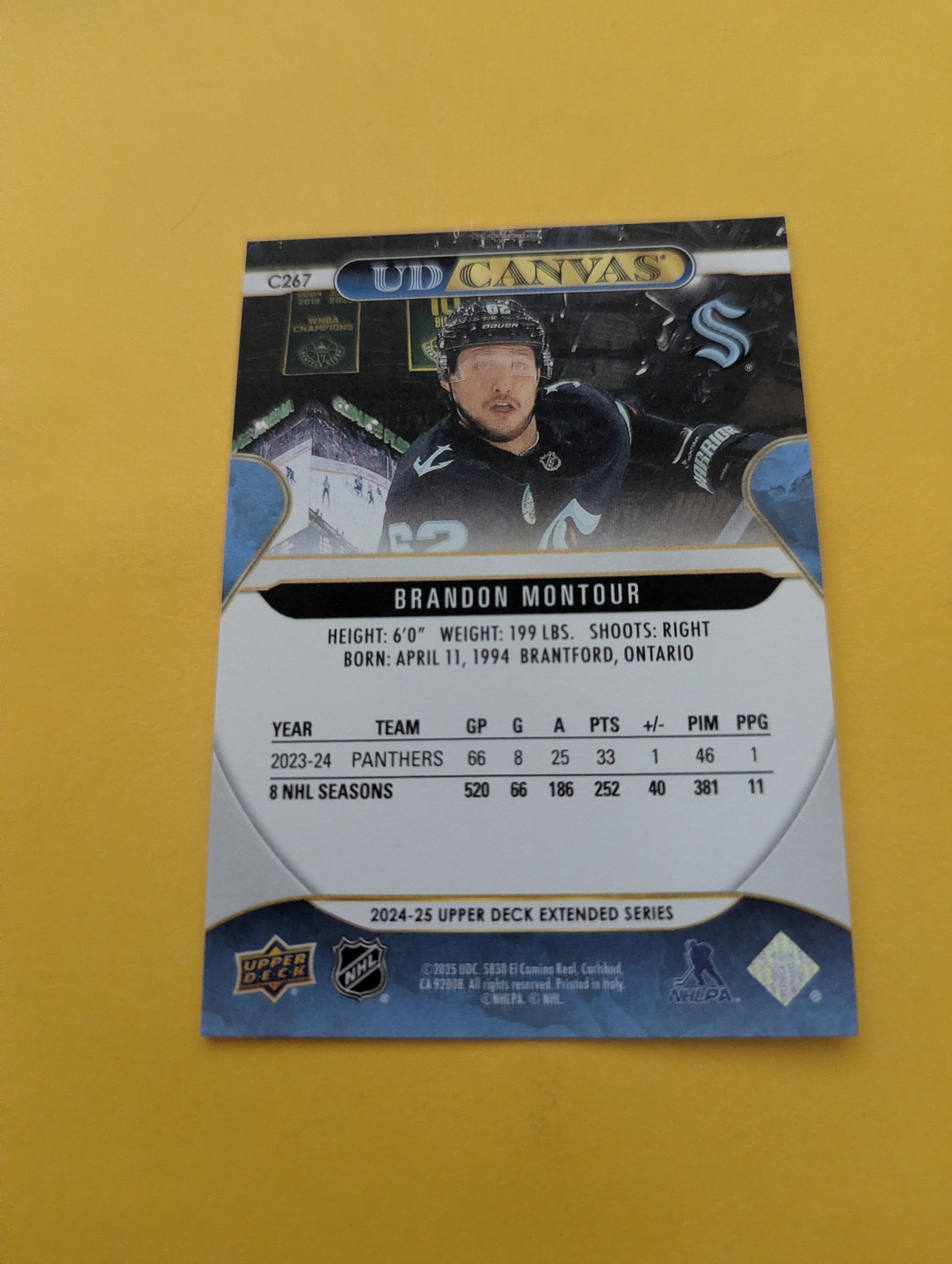 Brandon Montour 24-25 Upper Deck UD Canvas Card