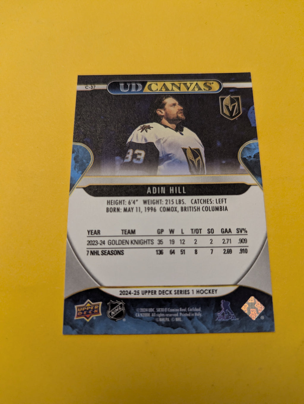 Adin Hill 24-25 Upper Deck UD Canvas Card
