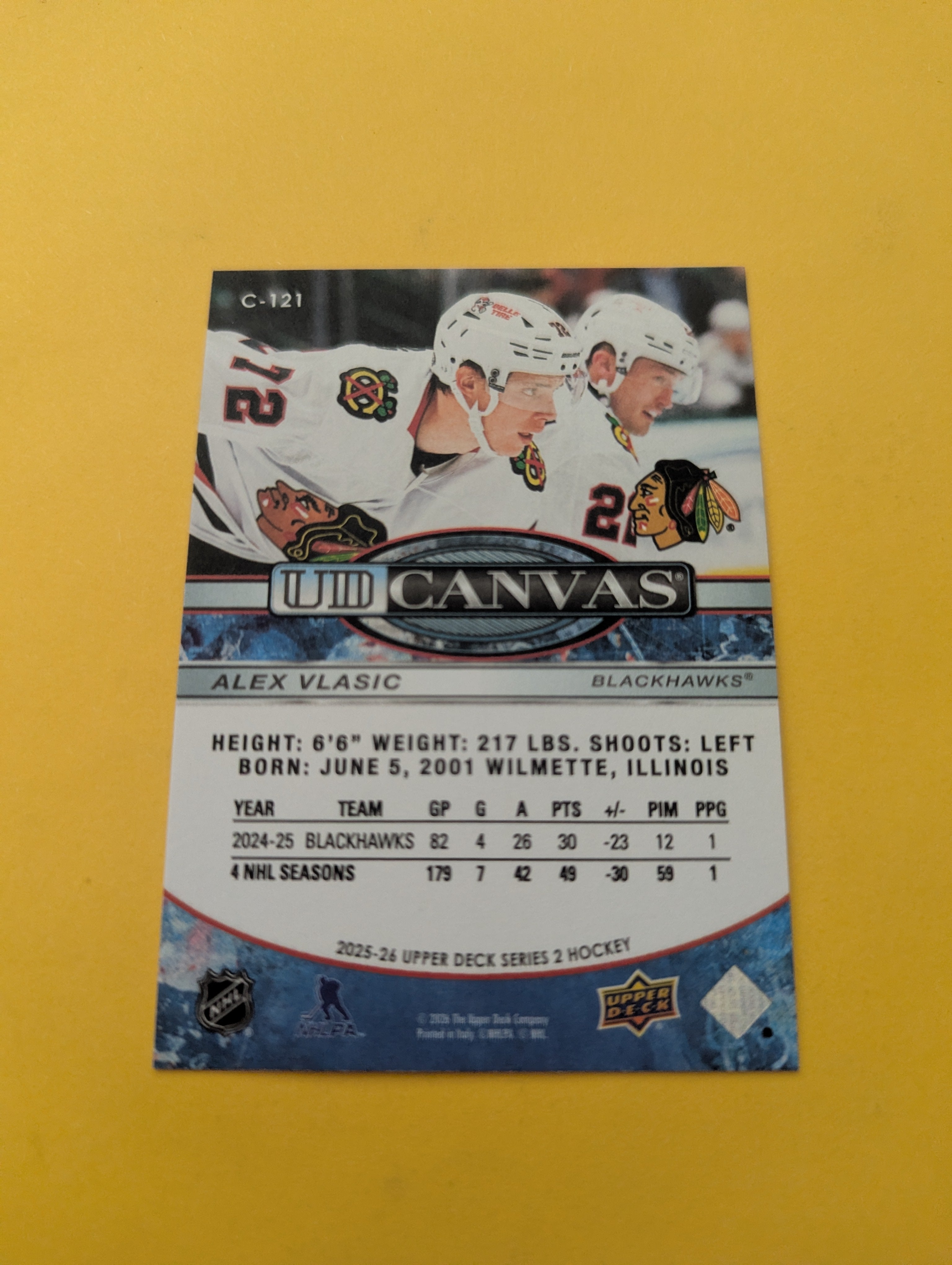 Alex Vlasic 25-26 Upper Deck UD Canvas Card