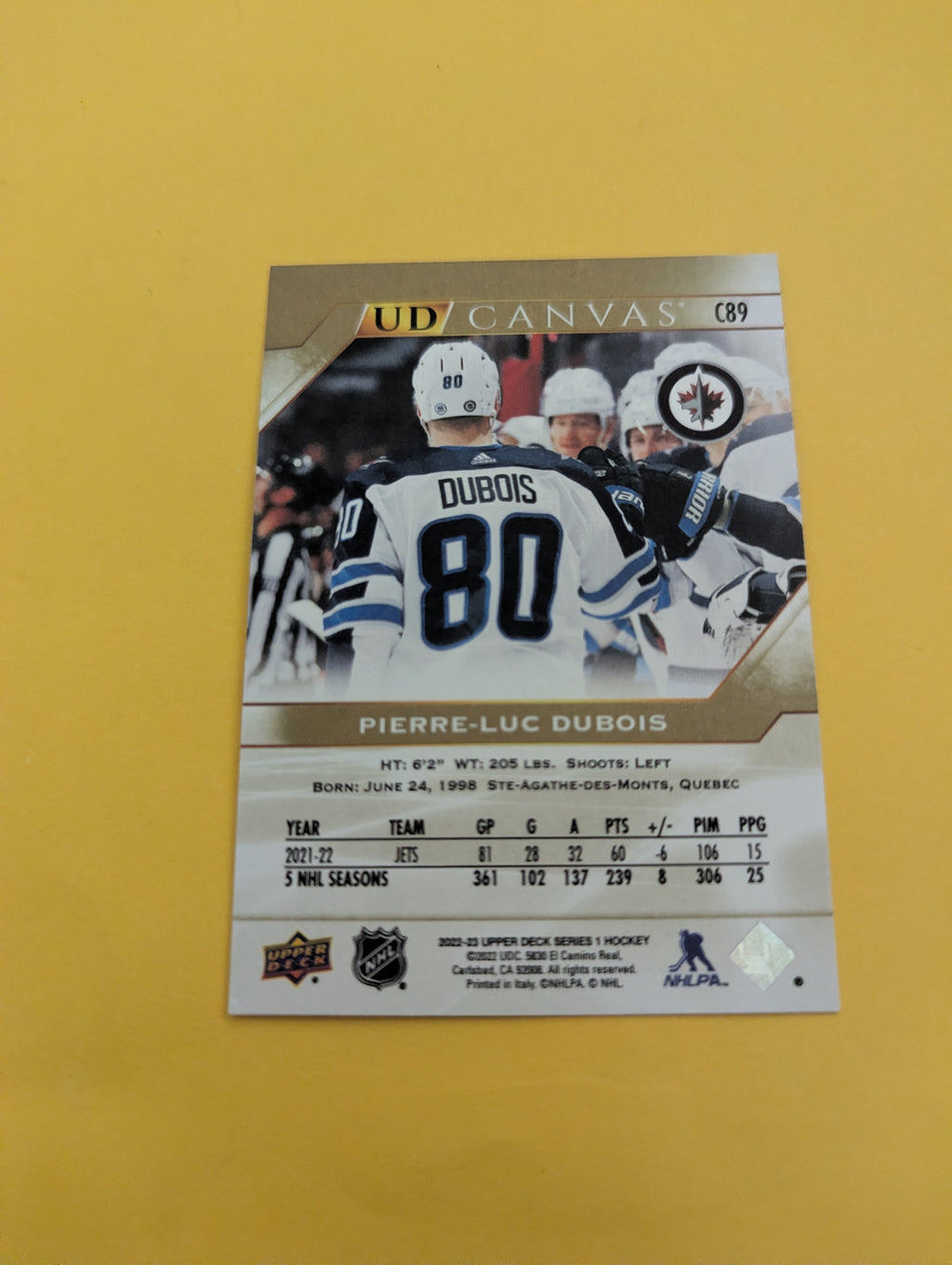 Pierre Luc Dubuis 22-23 Upper Deck UD Canvas Card