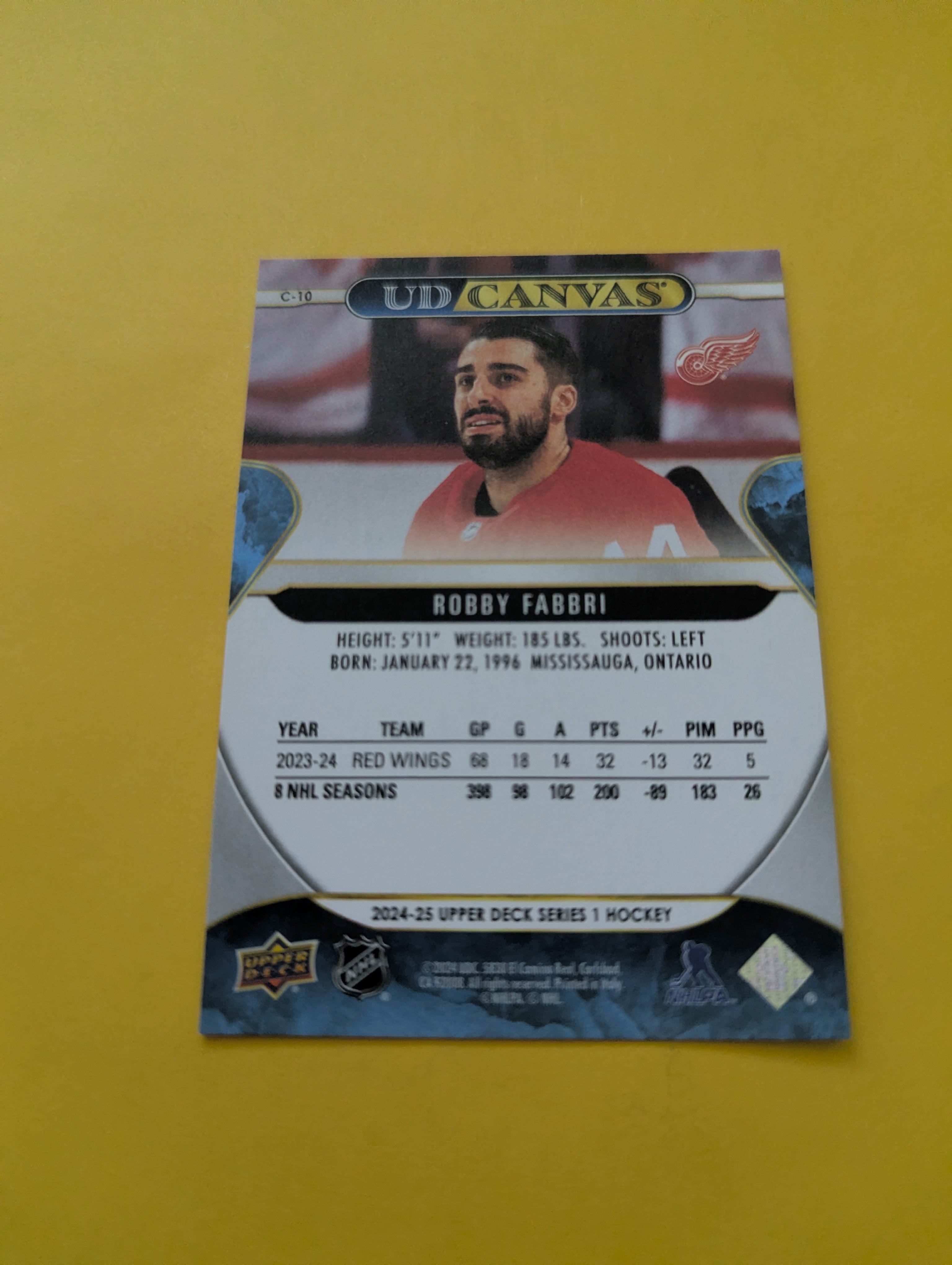 Robby Fabbri 24-25 Upper Deck UD Canvas Card