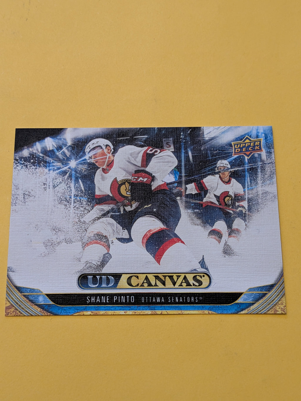 Shane Pinto 24-25 Upper Deck UD Canvas Card