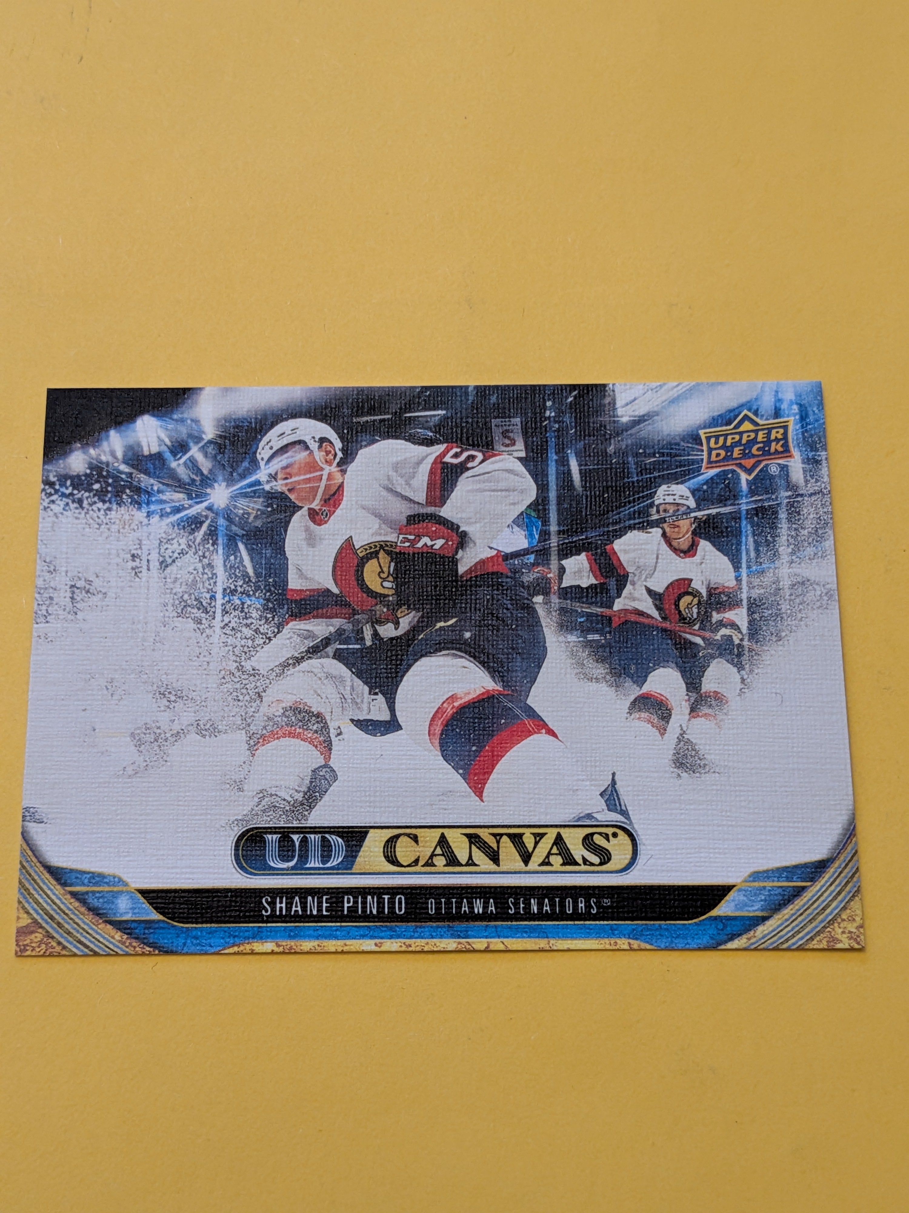 Shane Pinto 24-25 Upper Deck UD Canvas Card