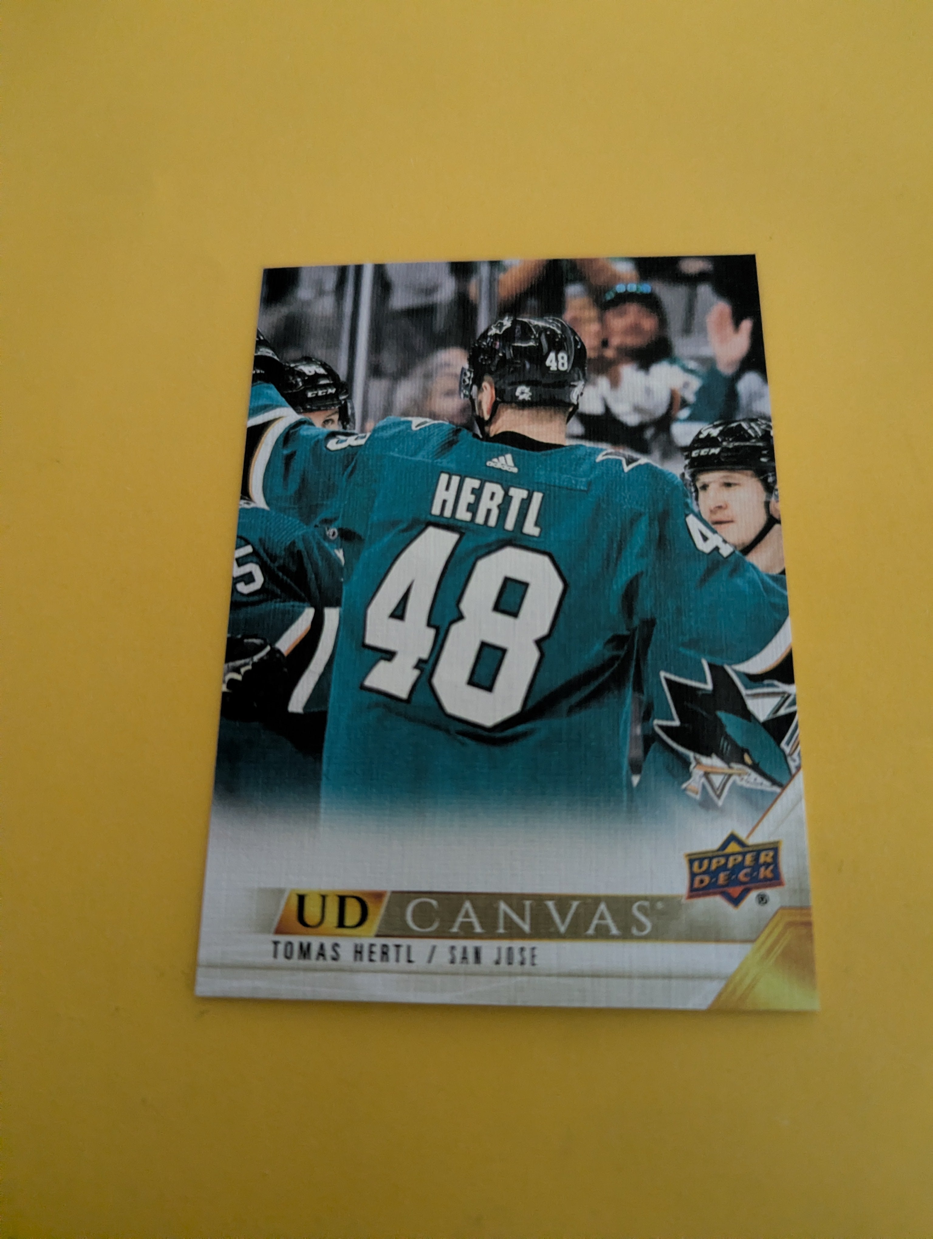 Tomas Hertl 20-21 Upper Deck UD Canvas Card