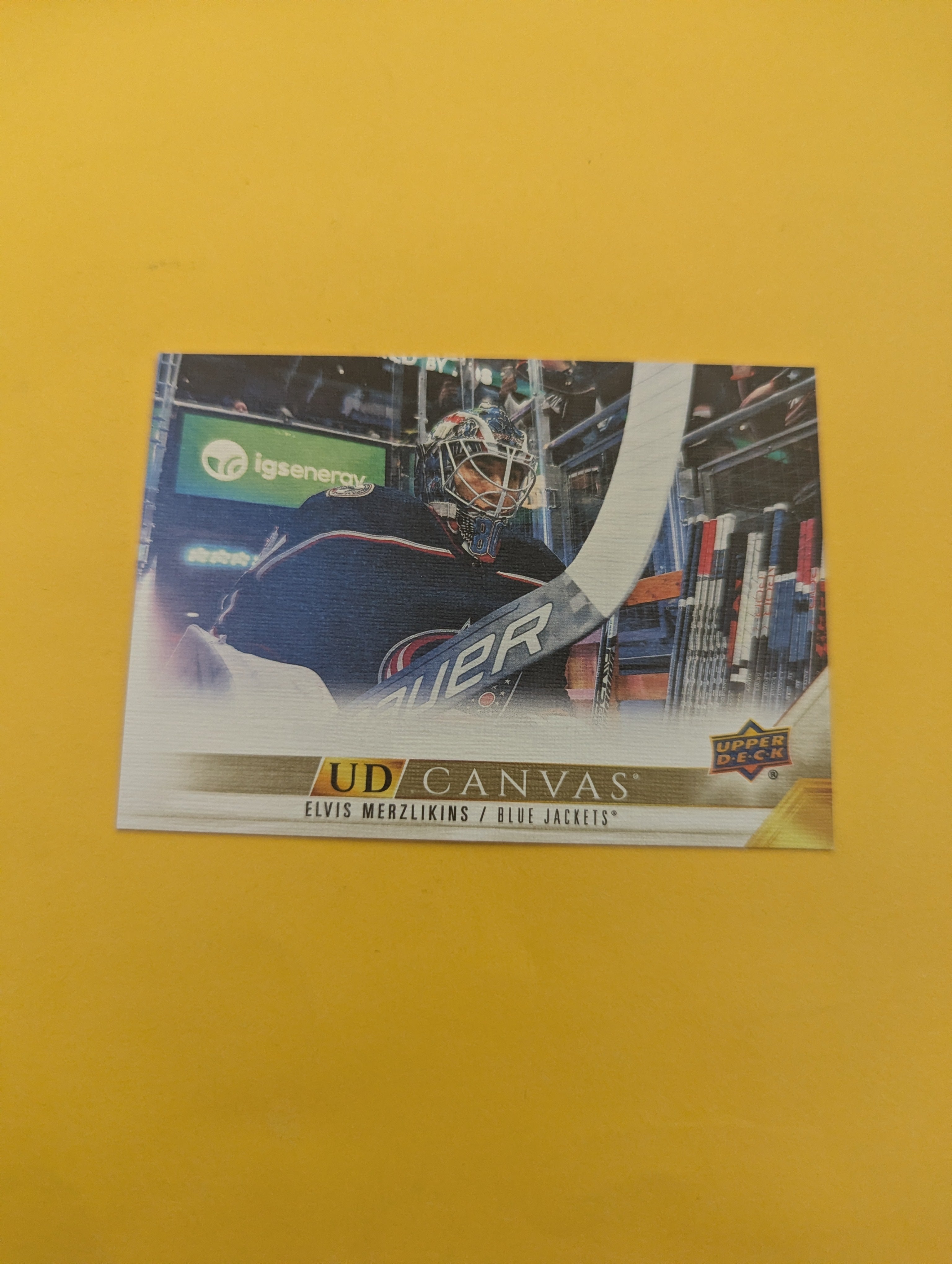 Elvis Merzlikins 22-23 Upper Deck UD Canvas Card