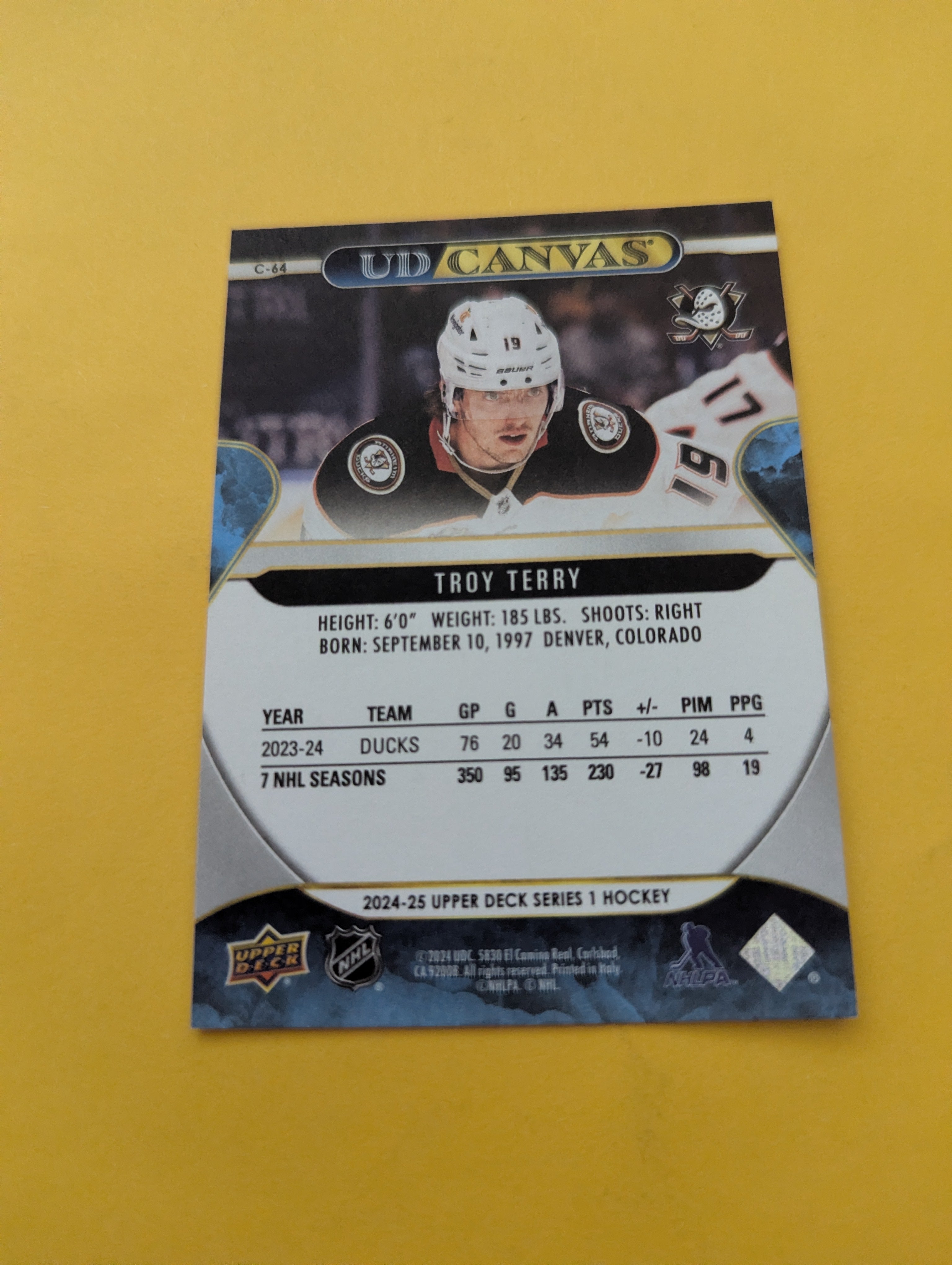 Troy Terry 24-25 Upper Deck UD Canvas Card