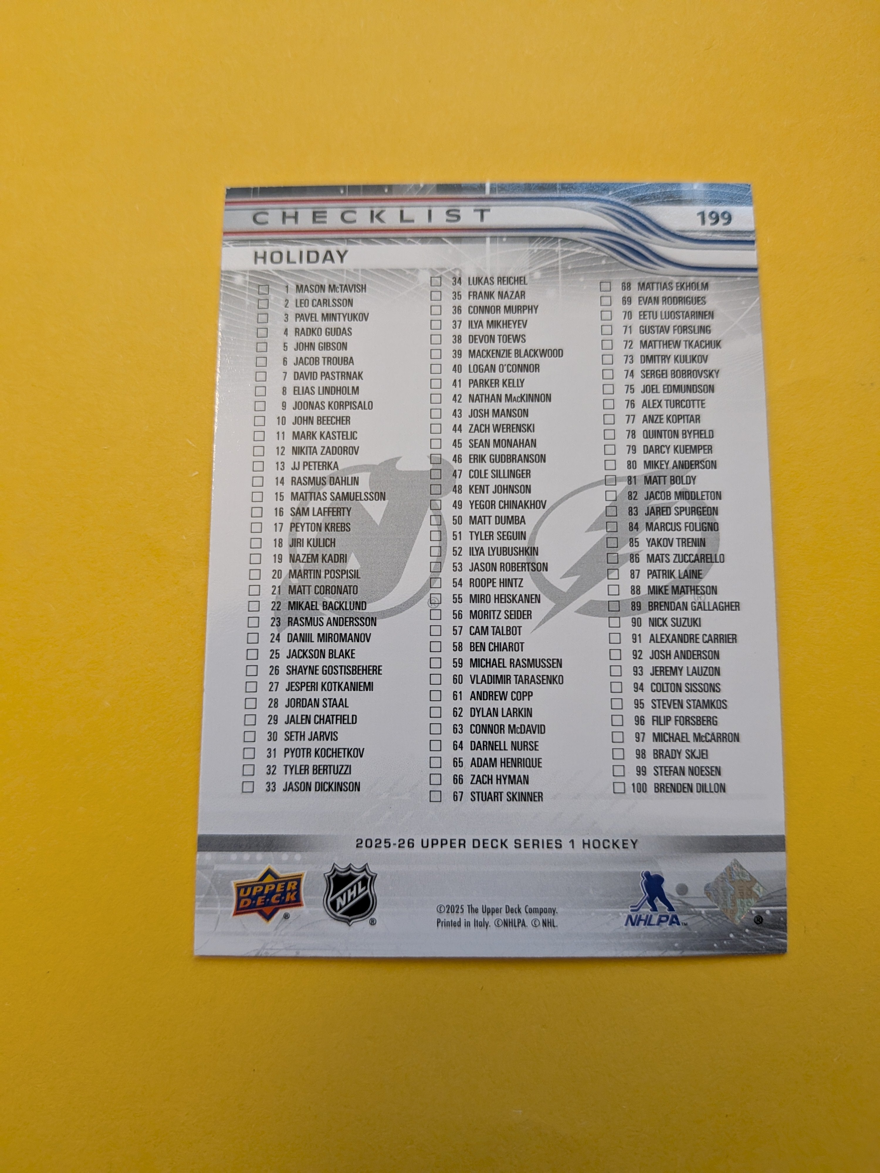 Andrei Vasilevskiy Jacob Markstrom 25-26 Upper Deck Green Holiday Checklist Card