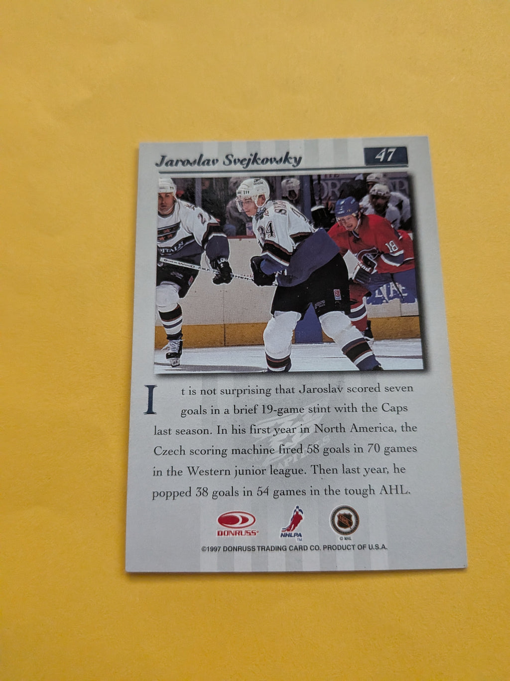 Jaroslav Svejkovsky Signed Washington Capitals Card A