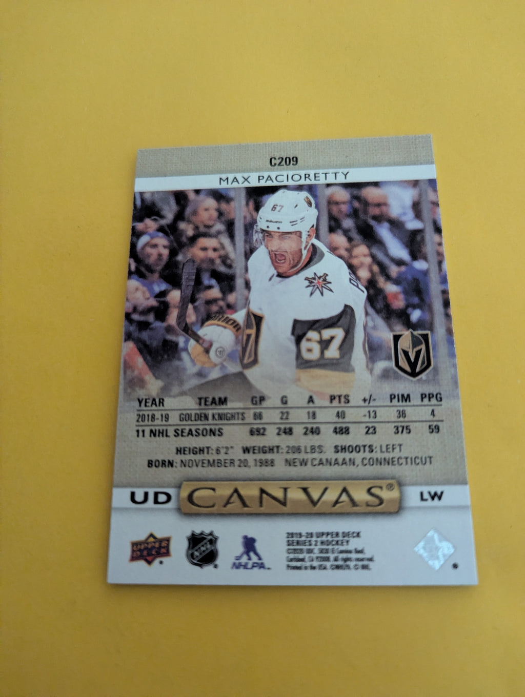 Max Pacioretty 19-20 Upper Deck UD Canvas Card