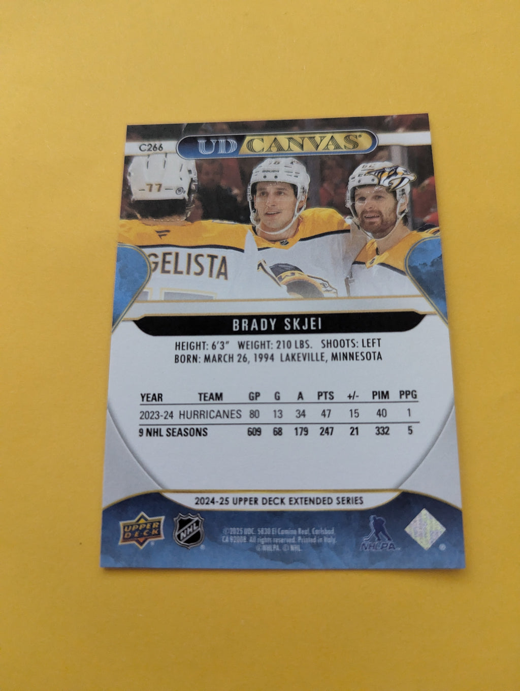 Brady Skjei 24-25 Upper Deck UD Canvas Card