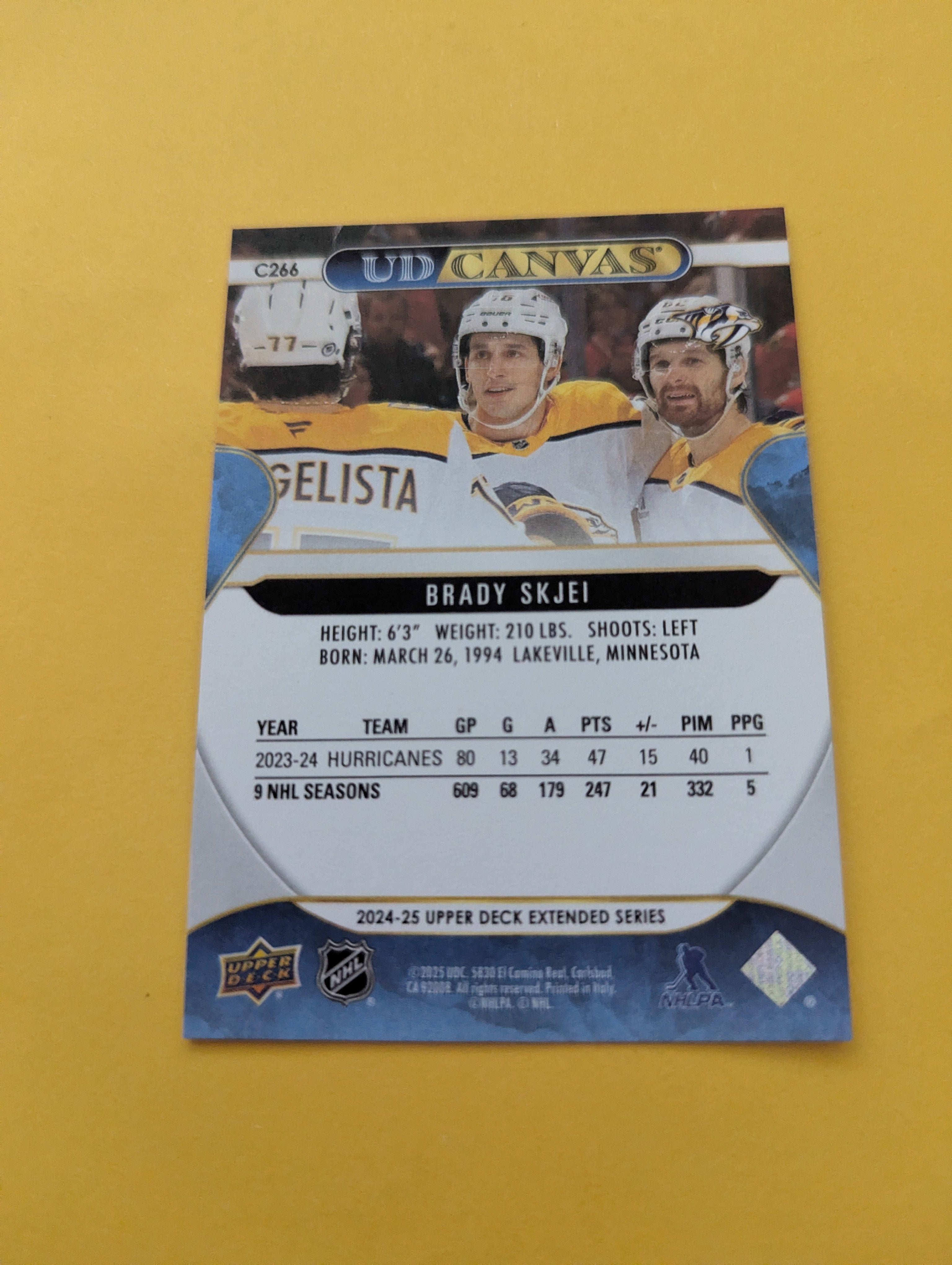 Brady Skjei 24-25 Upper Deck UD Canvas Card